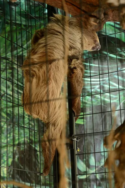 DSC_2305 (Large).JPG